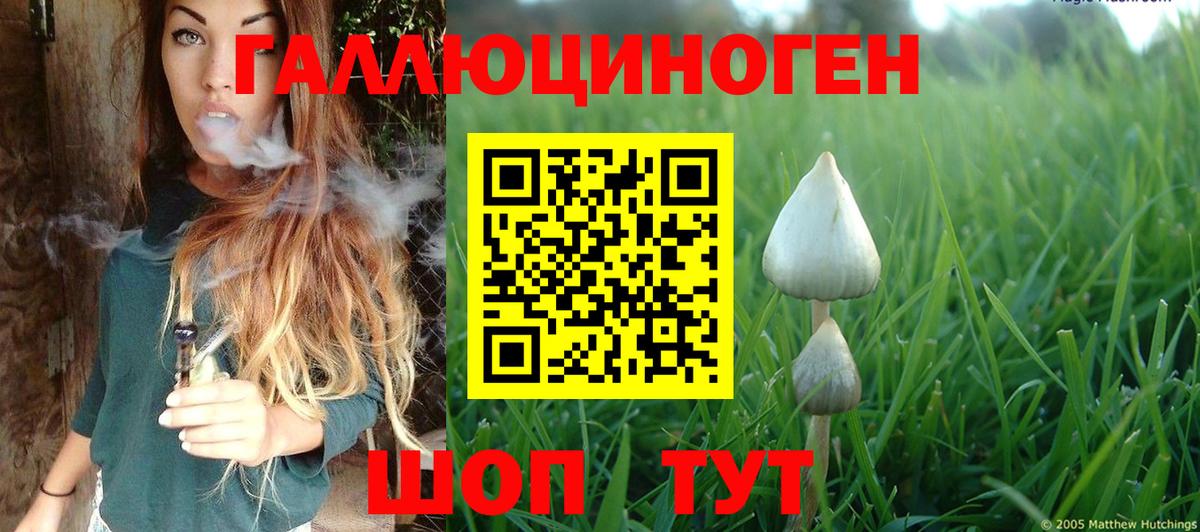 Псилоцибиновые грибы Magic Shrooms Советск
