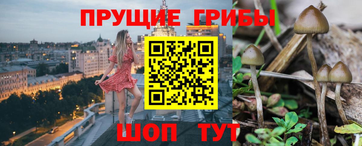 Псилоцибиновые грибы Magic Shrooms  Вход с VPN  Псилоцибиновые грибы ЛСД  Советск 